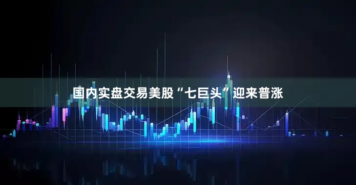 国内实盘交易美股“七巨头”迎来普涨
